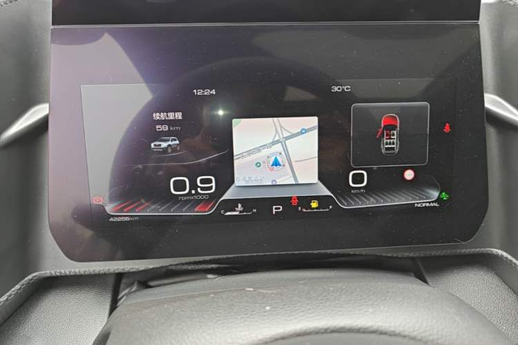Used Haval DARGO 2022 2.0T DCT 4x4 Chinese Rural Dog Edition