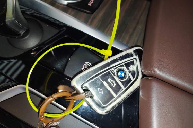 Used BMW 5 Series 2020 530Li Leading Edition Luxury Package
