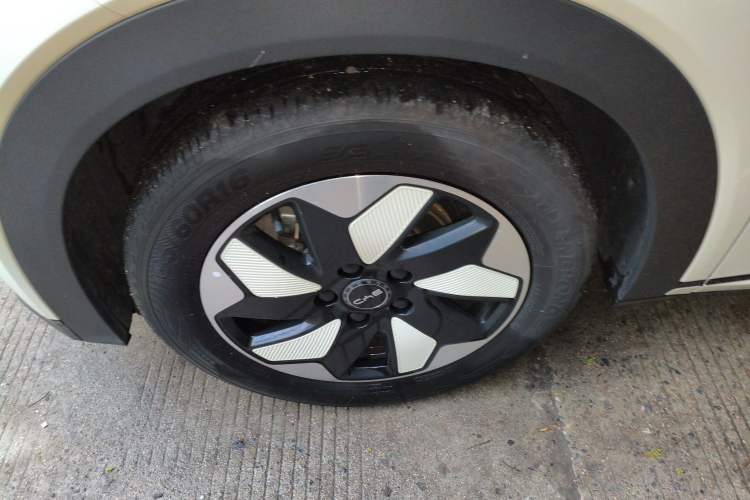 Used BYD Dolphin 2024 Honor Edition 420km Fashion Version
