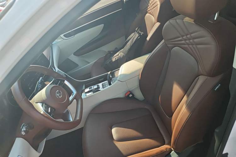 Used Hyundai Mistra 2021 270TGDi DCT TOP Flagship Edition Left Front Seat