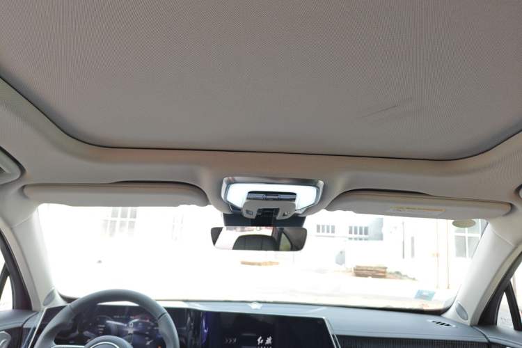 Used Hongqi H9 2025 2.0T Two-Wheel Drive Flagship Luxury Business Edition 5 Seats
