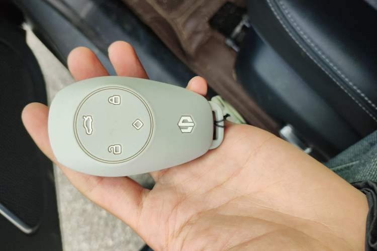 Used Leapmotor S01 2020 460 Pro
