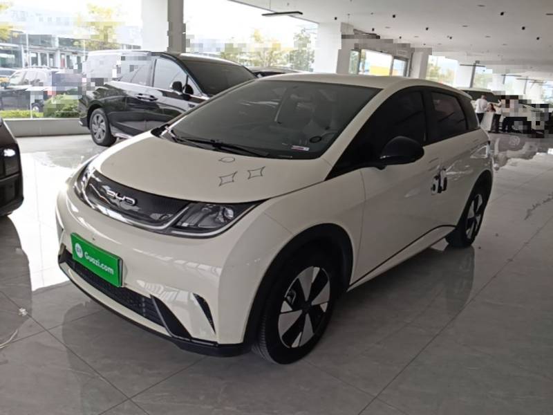 Used BYD Dolphin 2023 420 km Free Version — 1