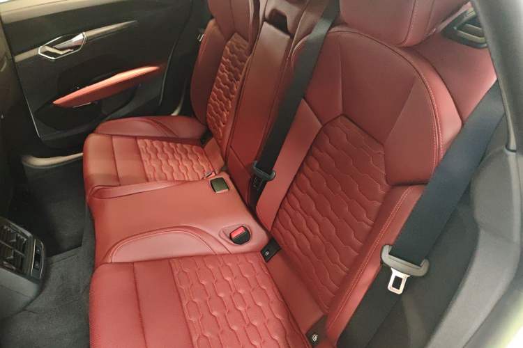 Used Audi e-tron GT 2023 Basic Model Left Rear Seat