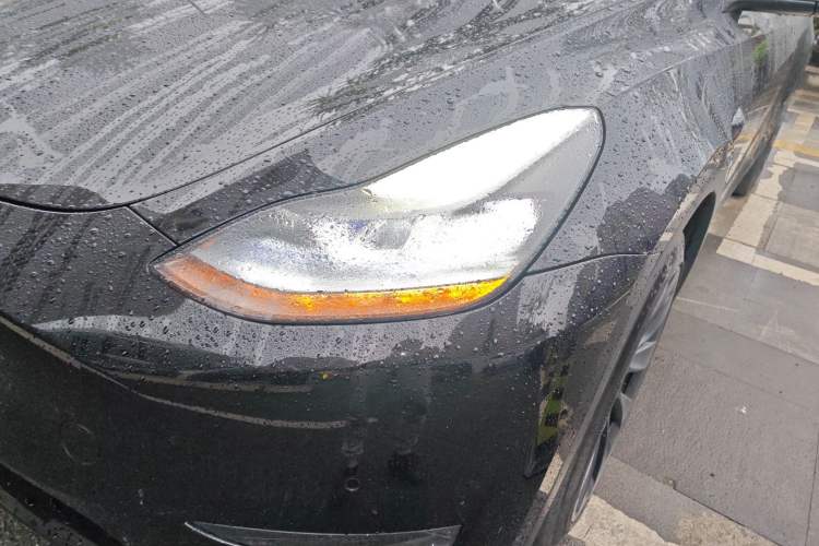 Used Tesla Model Y 2021 Long-Range All-Wheel-Drive Version 3D7
