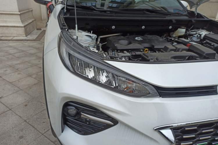 Used Toyota Wildlander 2024 2.0L CVT Two-Wheel Drive Leading Edition