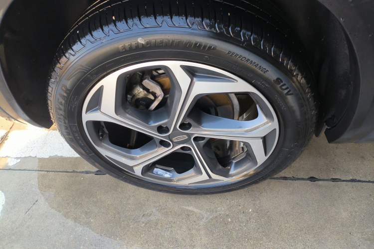 Used Geely Auto Monjaro L 2021 2.0TD DCT EVO Two-Wheel Drive Prestige Version
