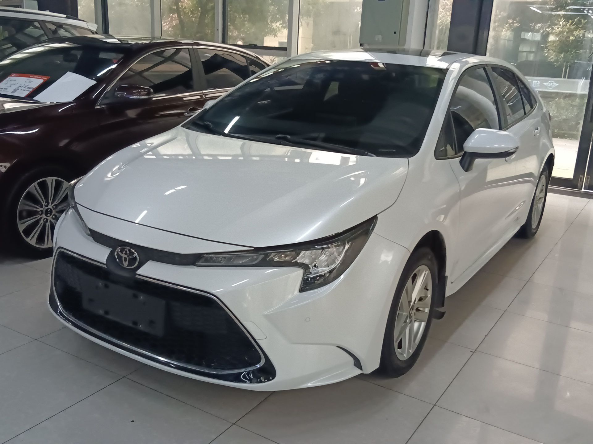 Parte inferior delantera