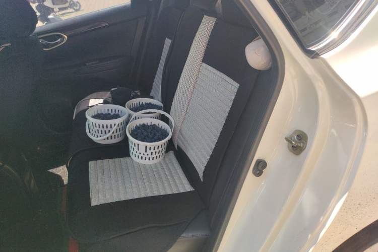 Used Nissan Sylphy 2016 1.6 XL CVT Luxury Edition