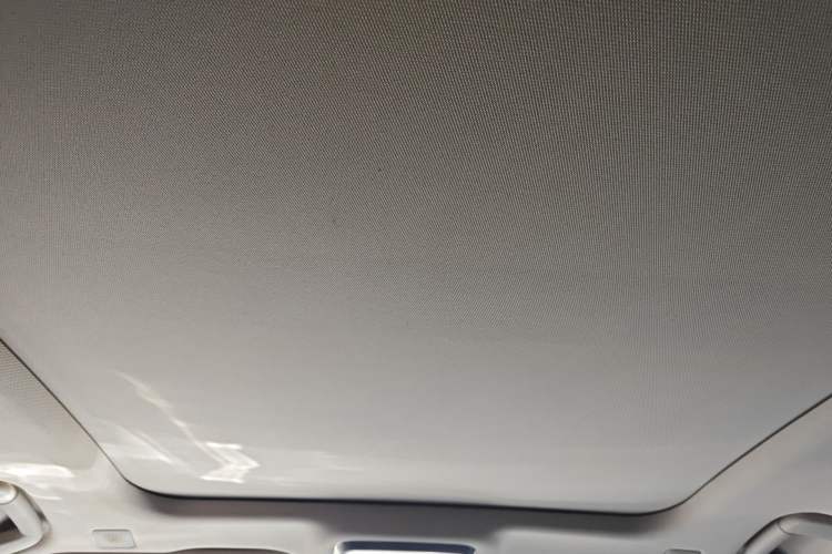 Used Hongqi H9 2020 3.0T Smart Connect Flagship Edition Headliner