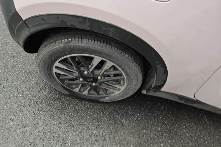 Used Chery Little Ant 2022 Sweet Pink Edition Half-Sugar Version Lithium Iron Phosphate 30 kW 301 km
