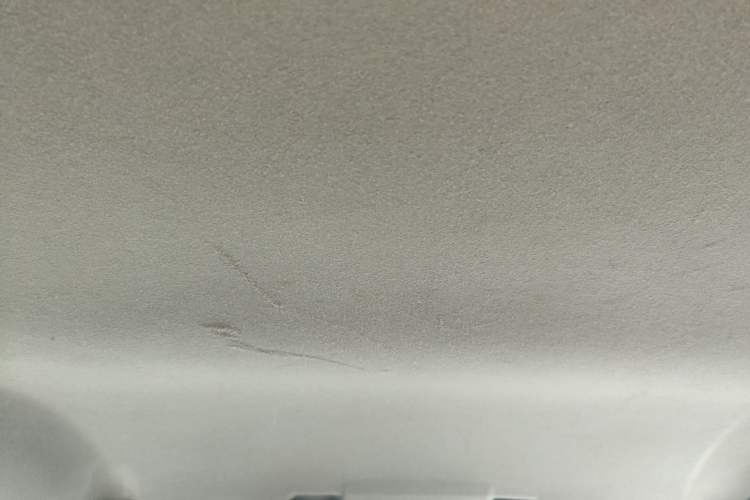 Used FORTHING Joyear 2014 LV Facelift 1.5L AMT Luxury Model Headliner