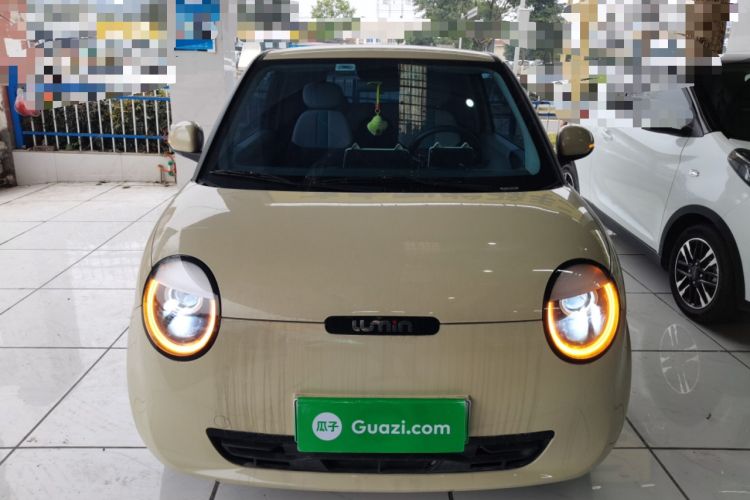 Used Qiyuan Lumin 2023 205km Xiangqin Version