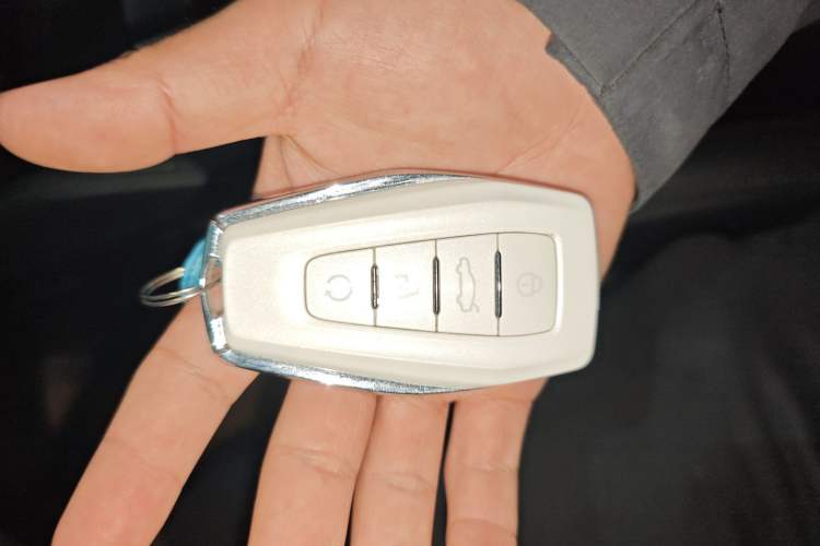 Used Geely Auto Monjaro L 2024 2.0TD High-Power Automatic Two-Wheel Drive Skyline Edition Vehicle Key