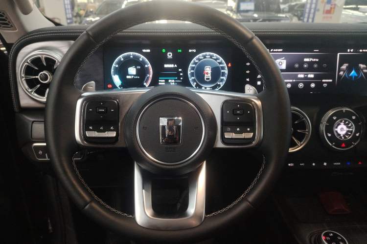 Used Tank 300 2024 2.0T Conqueror
