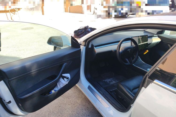 Used Tesla Model 3 2020 Standard Range Rear-Wheel Drive Upgraded Version