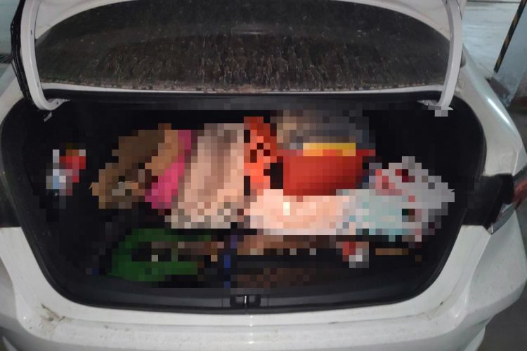 Used Toyota Corolla 2021 Dual-Engine 1.8L E-CVT Pioneer Edition