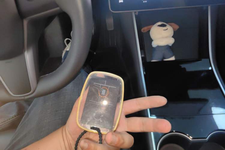 Used Tesla Model 3 2020 Revised Version Standard Range Rear-Wheel Drive – Upgraded Edition Vehicle Key