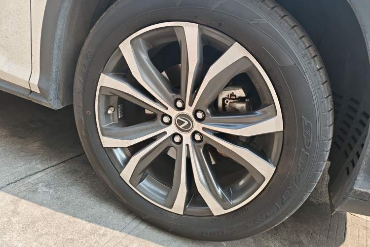 Used Lexus RX 2020 300 4x4 Elegant Edition China VI