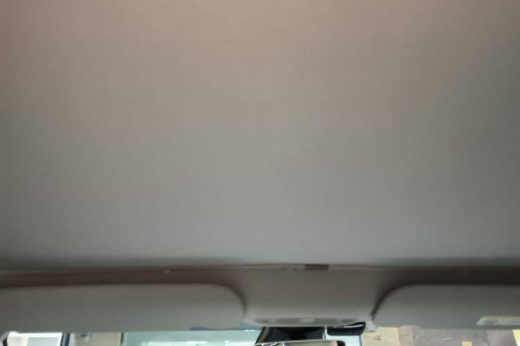 Used Tesla Model 3 2021 Performance High-Performance All-Wheel-Drive Version 3D6 Headliner
