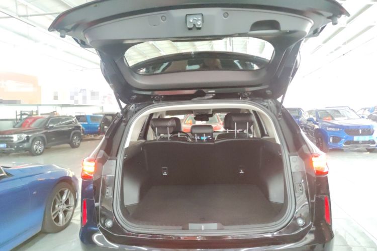 Used Haval H6 2021 3rd Generation 2.0T Automatic Two-Wheel Drive Max