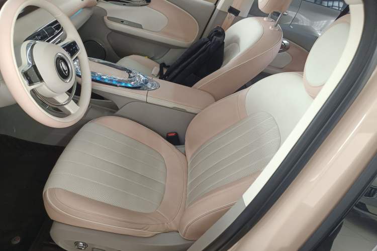 Used ORA Ballet Cat 2022 401 km Nutcracker Edition
