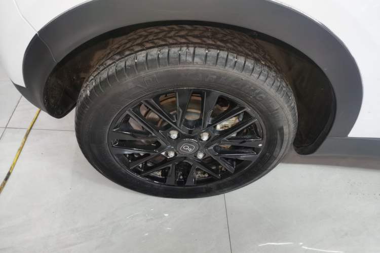 Used Chery Little Ant 2024 321km Love Edition