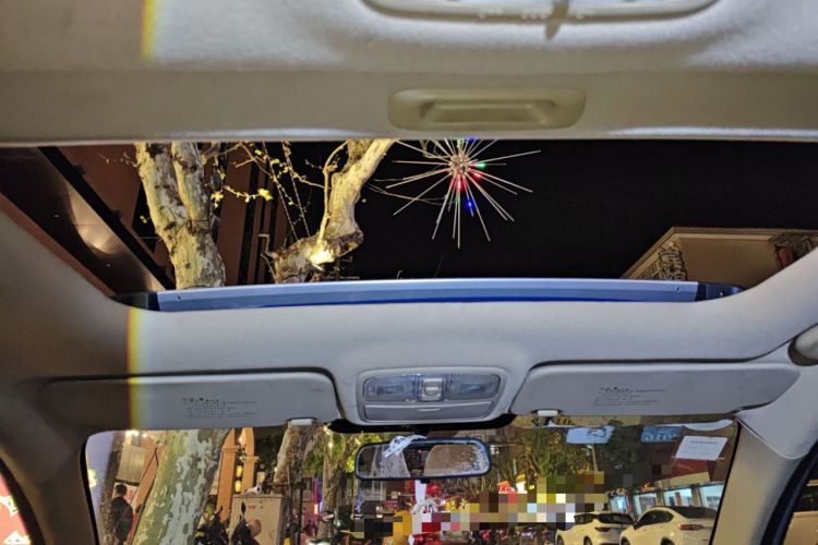 Used Hyundai Celesta 2010 1.6L AT GLS Headliner