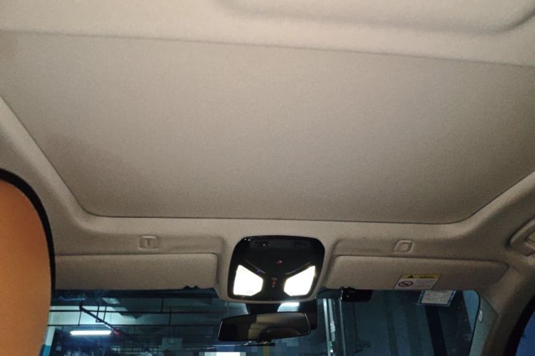 Used BMW 5 Series 2018 528Li Launch Special Edition Headliner