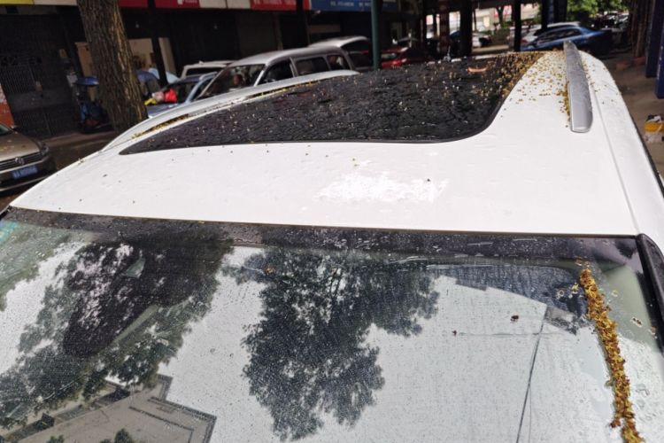 Used Volkswagen Tiguan 2018 330TSI All-Wheel-Drive Innovation Model