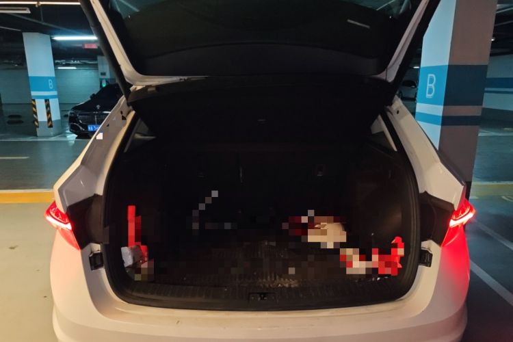 Used Skoda Kodiaq GT 2019 TSI330 Two-Wheel-Drive Luxury Edition China VI Standard
