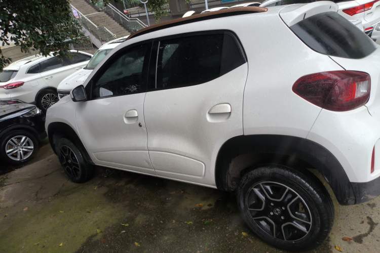 Used Dongfeng NAMMI EX1 2023 PRO Light Wind Edition Lightning Model