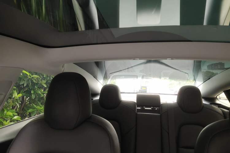 Used Tesla Model 3 2019 Long-Range All-Wheel-Drive Version Headliner