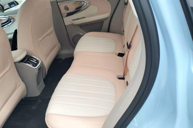 Used ORA Ballet Cat 2022 500 km Swan Lake Edition