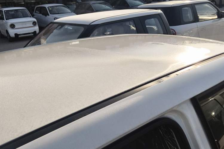 Used Qiyuan Lumin 2025 205 km Xiangqin Version
