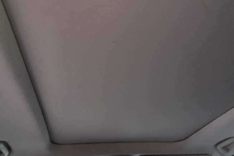 Used Haval H9 2020 2.0T Gasoline 4WD Premium Edition 5 Seats Headliner