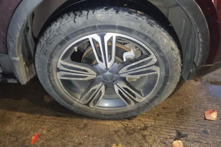 Used Leopaard CS10 2015 2.0T Manual Supreme Edition
