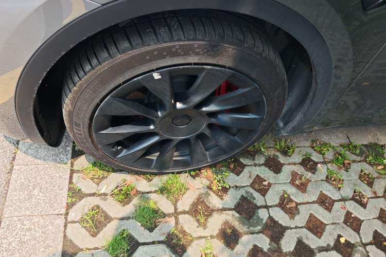 Used Tesla Model Y 2024 Long-Range All-Wheel-Drive Version
