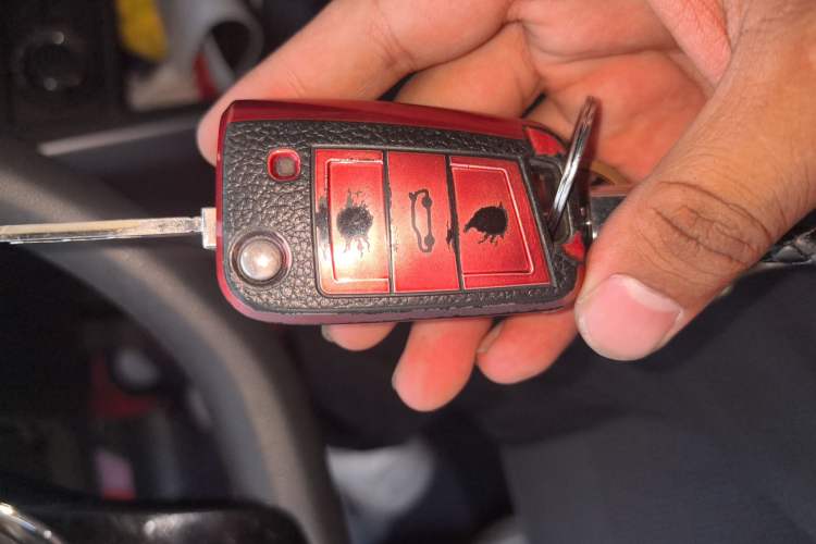 Used Volkswagen Polo 2019 Plus 1.5L Automatic Panoramic Enjoyment Edition