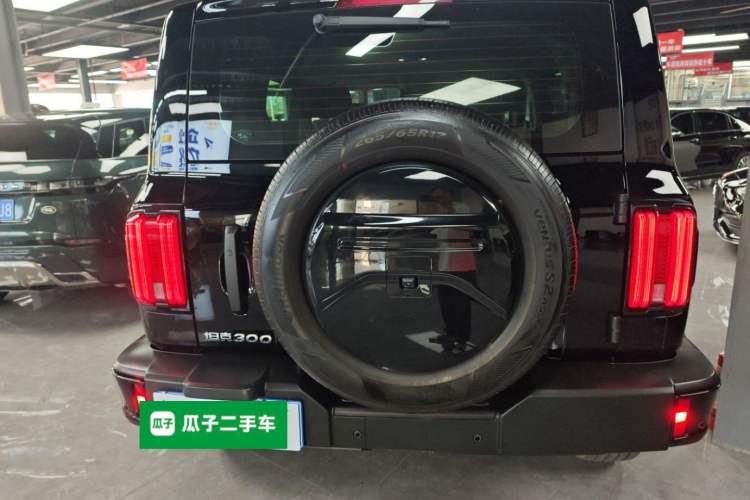 Used Tank 300 2024 2.0T Conqueror