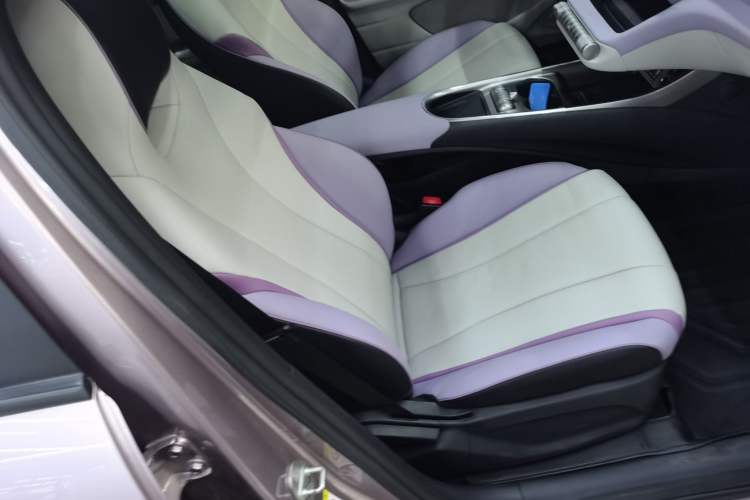 Used BYD Dolphin 2021 405 km Fashion Edition Right Front Seat