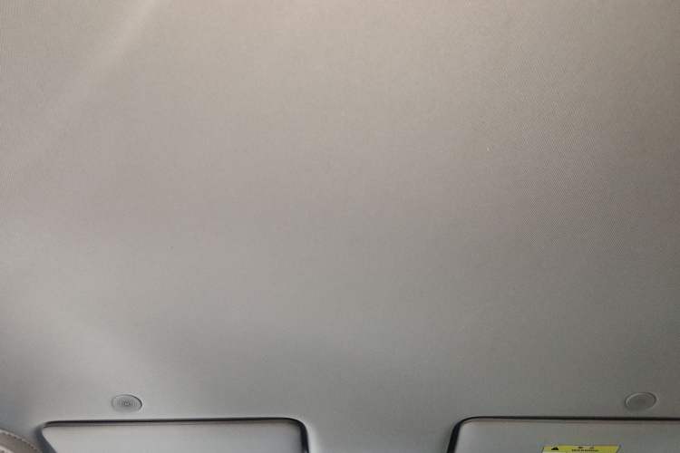 Used BYD Yuan UP 2024 401 km Active Version Headliner