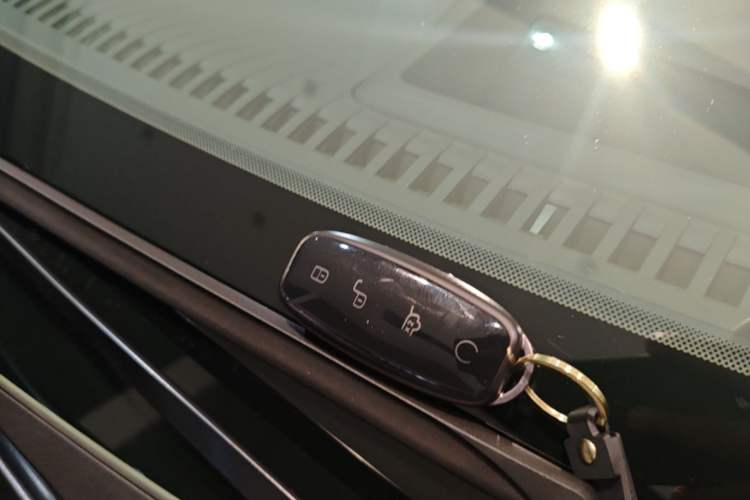 Used Denza D9 2022 DM-i 970 Four-Wheel Drive Flagship Model Interior 1