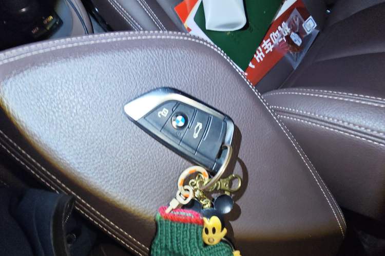 Used BMW X1 2020 sDrive20Li Fashion Model
