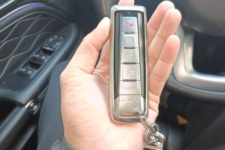 Used Tank 300 2021 Off-Road Edition 2.0T Conqueror
