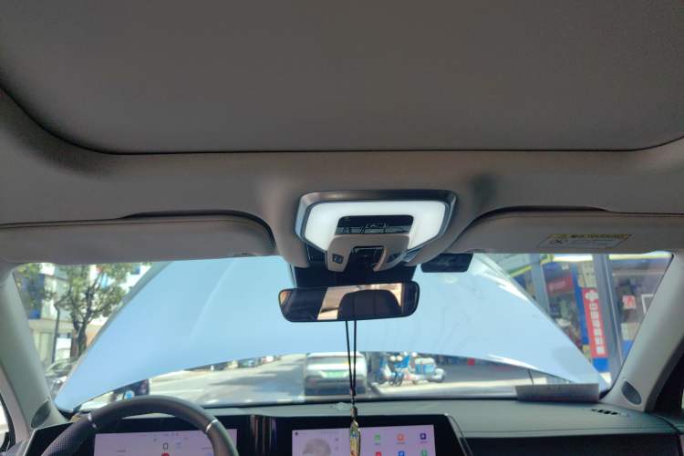 Used Hongqi H9 2024 2.0T Qixiang Private Style Edition
