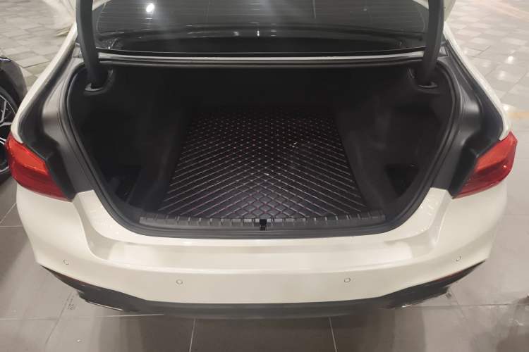 Used BMW 5 Series 2020 530Li Luxury Edition M Sport Package
