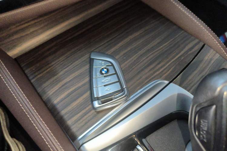 Used BMW 5 Series 2020 530Li Leading Edition Luxury Package
