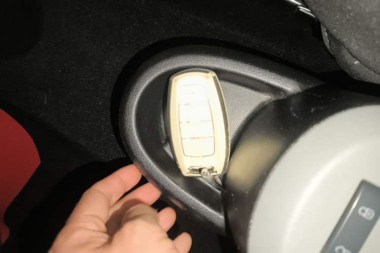 Used ORA Black Cat 2019 301km Standard Edition
