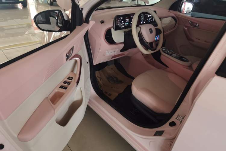 Used CHANGAN OSHAN Benni E-Star 2022 Qingxin Edition Colorful Model Lithium Iron Phosphate Driver Seat